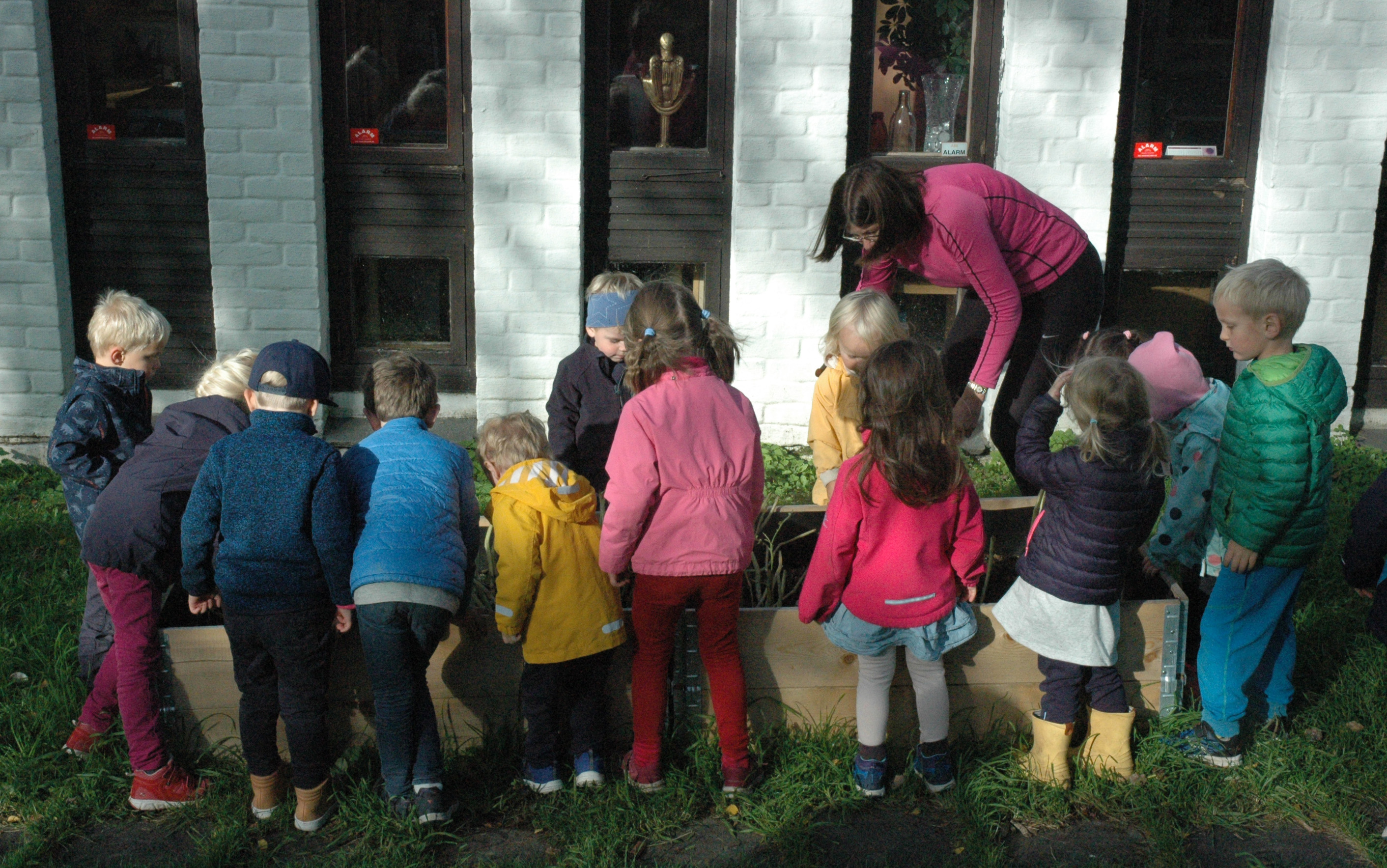 Foto: Gunnar Grøndahl: Ivrige barn fra Nordberg menighets barnehage hjalp diakon Lillian med å høste potetene bak kirkestua