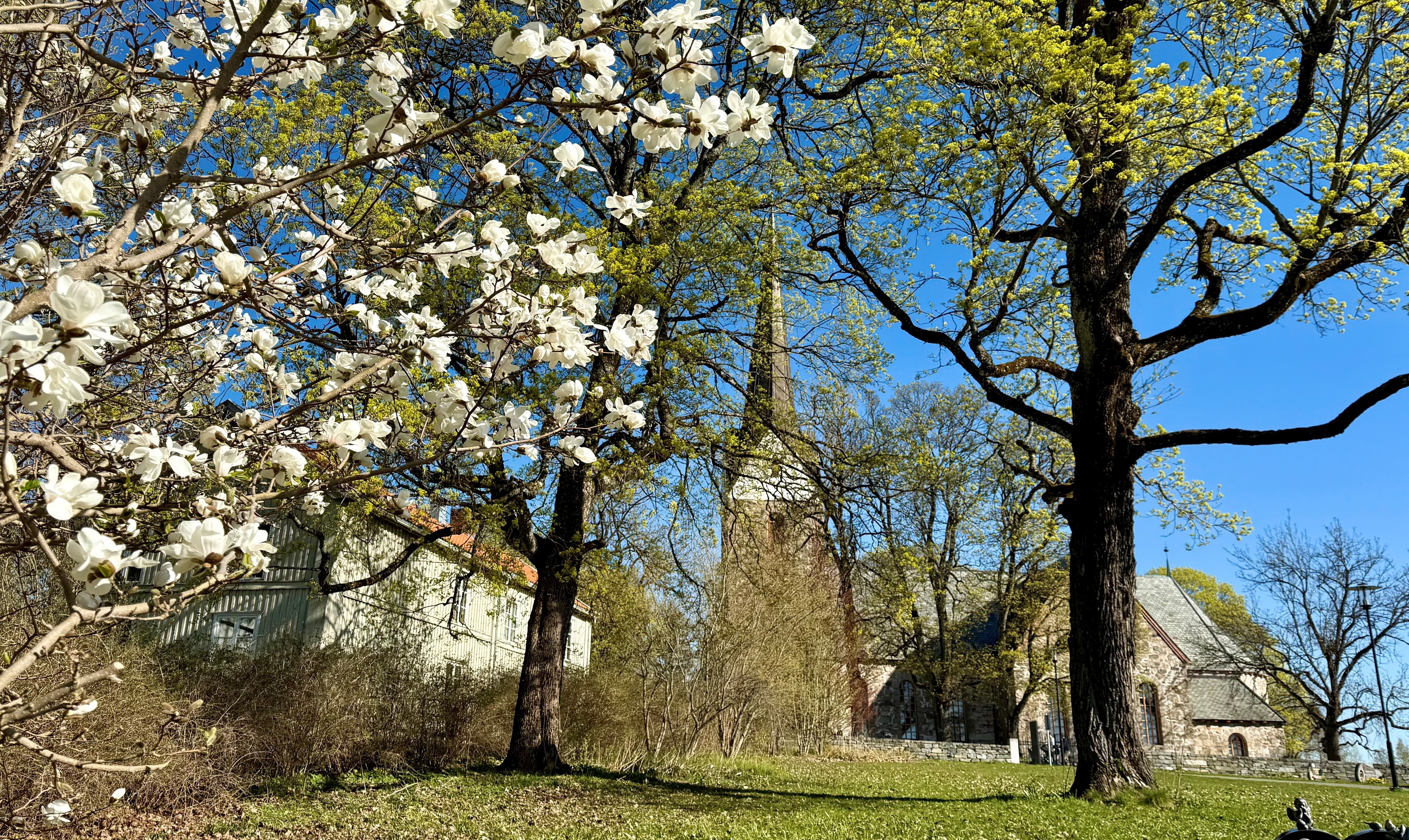 Skedsmo kirke