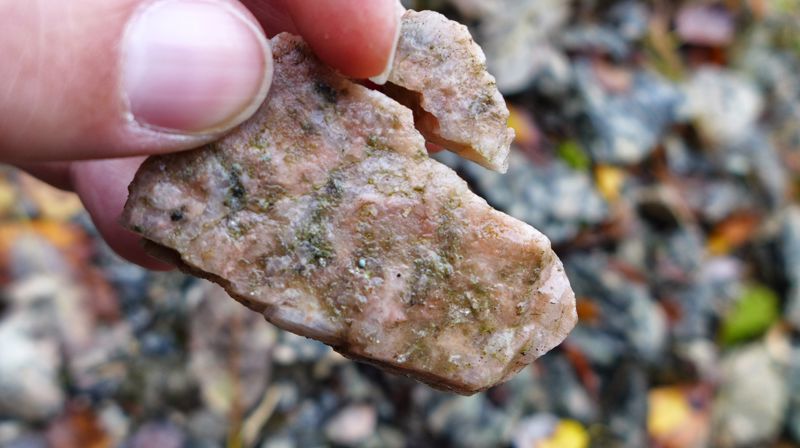 Diakoni på trikker og busser i Oslo