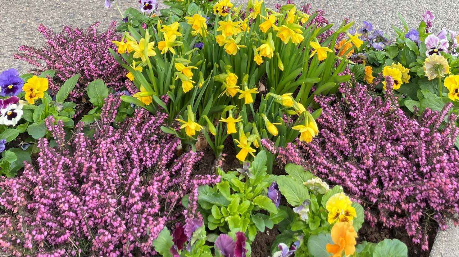 En aktiv og innholdsrik uke i Lørenskogs menigheter