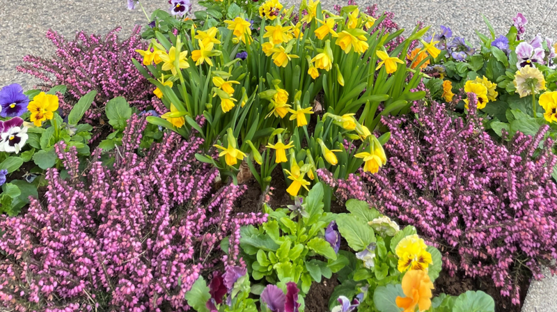 En aktiv og innholdsrik uke i Lørenskogs menigheter