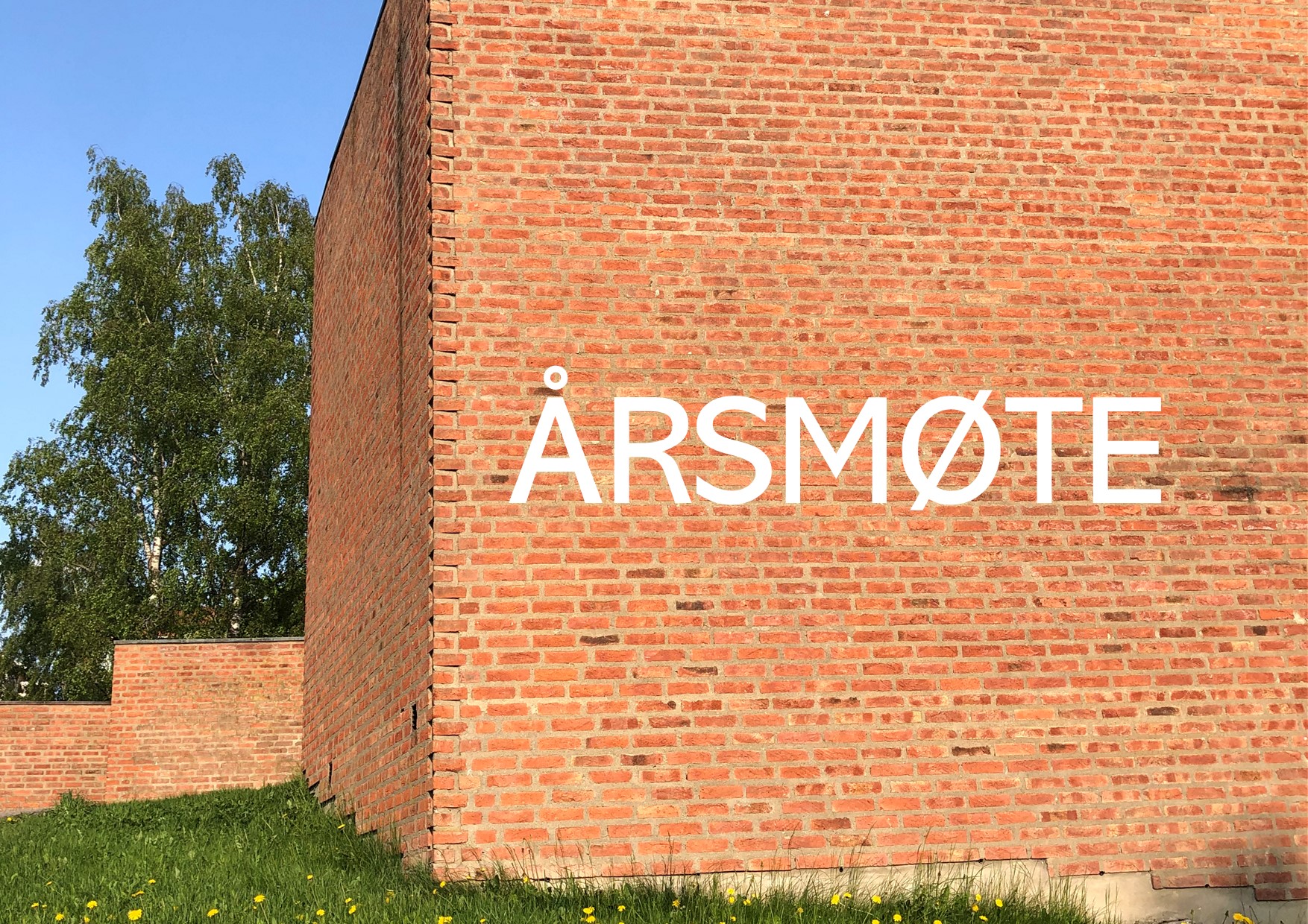 Årsmøte 18.juni  - etter gudstjenesten