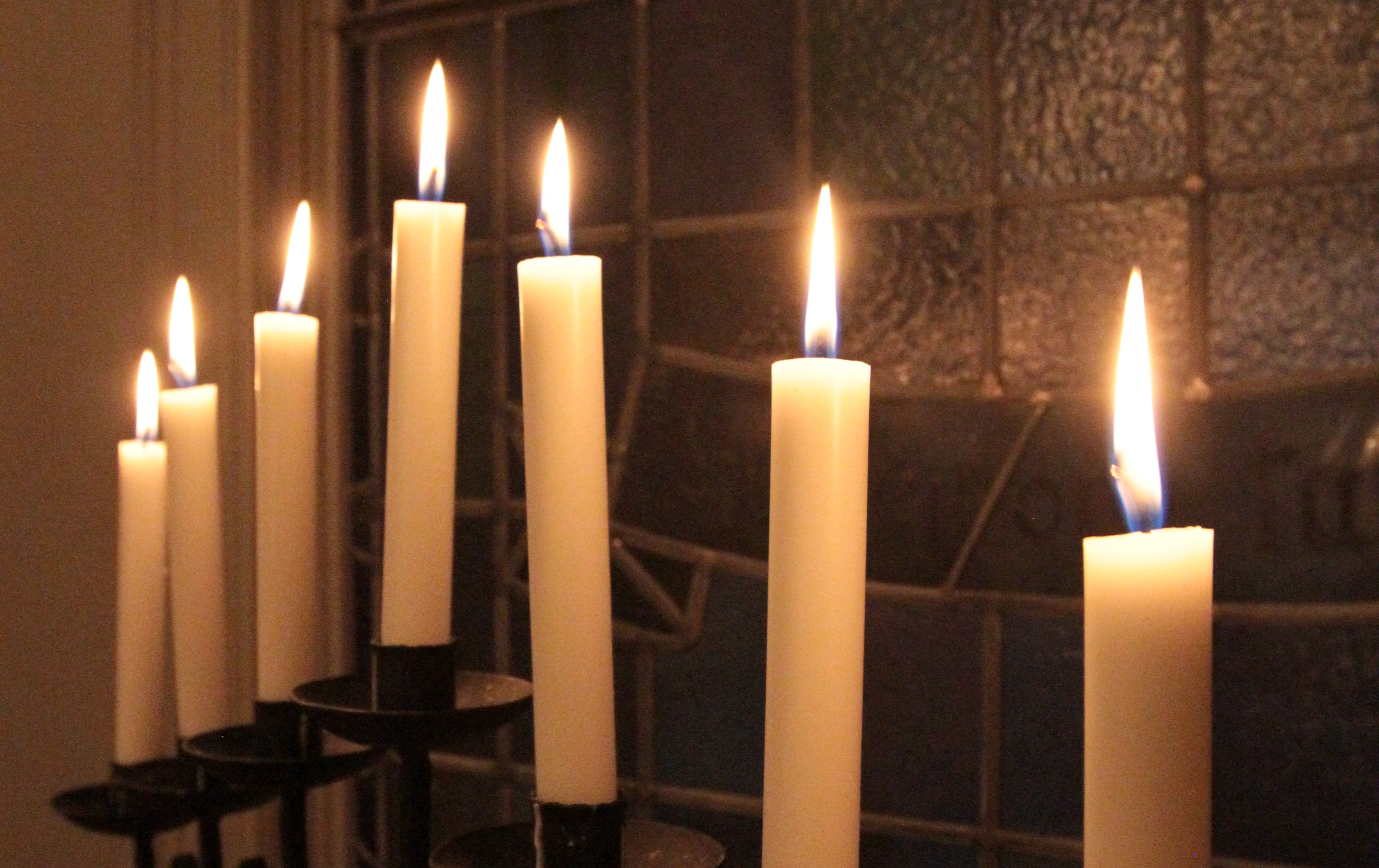 Foto: Thina A. B Rosø