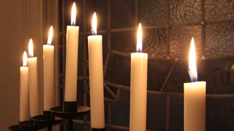 Foto: Thina A. B Rosø