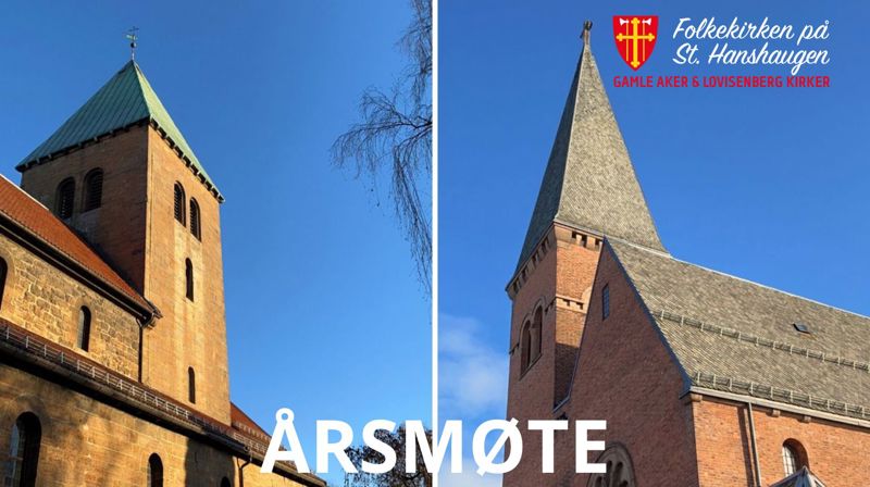 Årsmøte