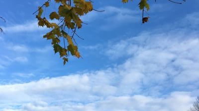 Temakveld Tirsdag 22 sept.kl.19.00 - Hvordan står det til med kirken?