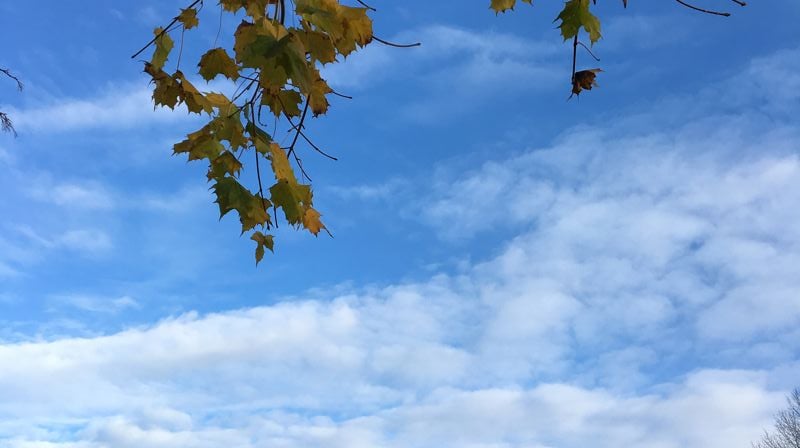 Temakveld Tirsdag 22 sept.kl.19.00 - Hvordan står det til med kirken?