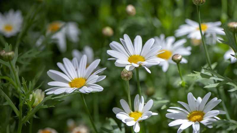 Velkomen med på utflukt!