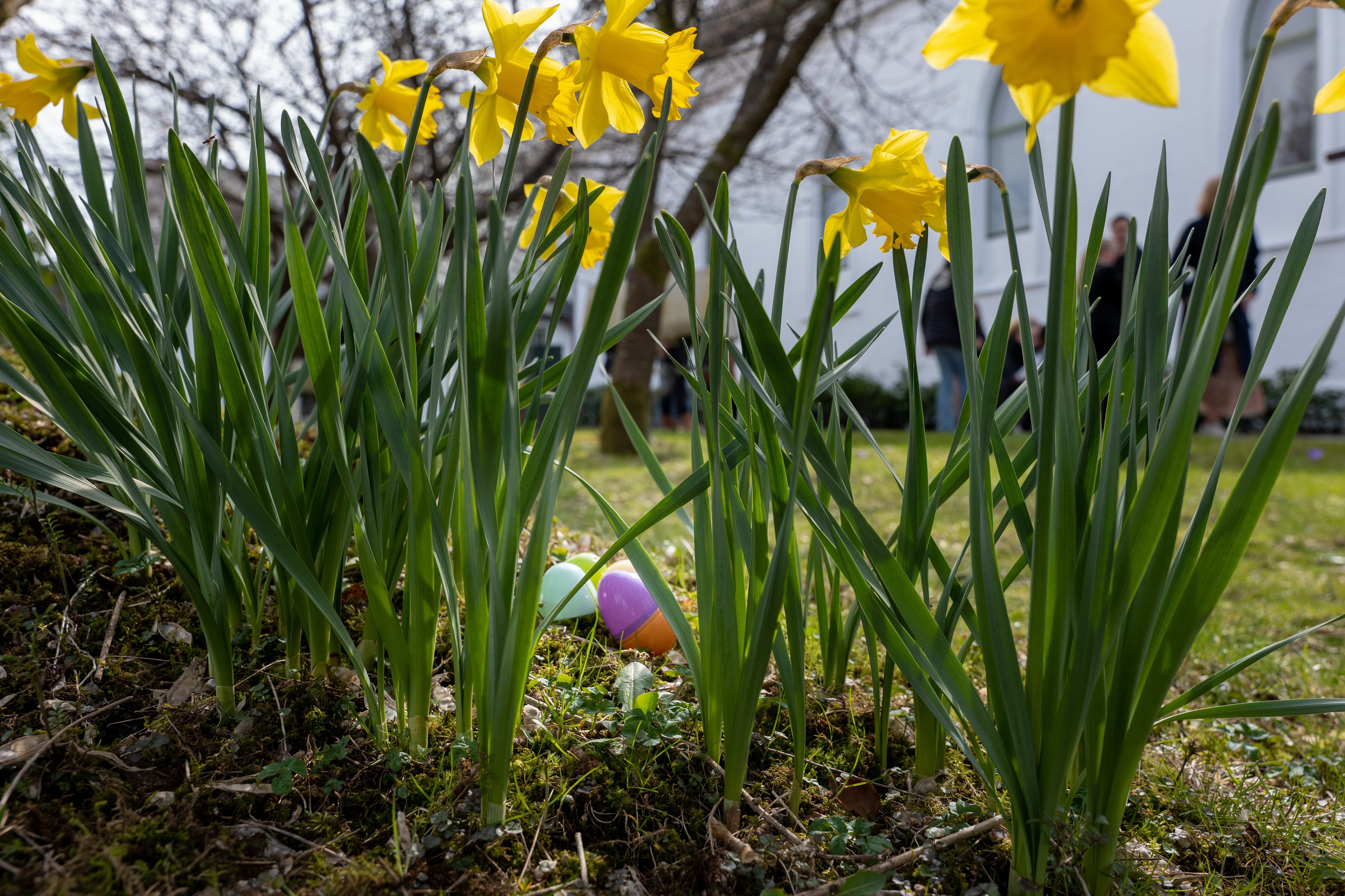 Påskeferie for babysang🐣