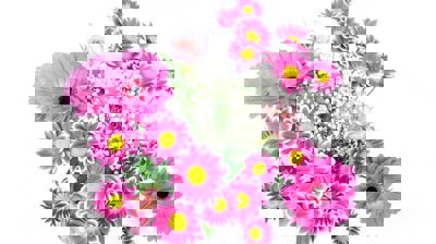 Påmelding til konfirmantjubileum 2026