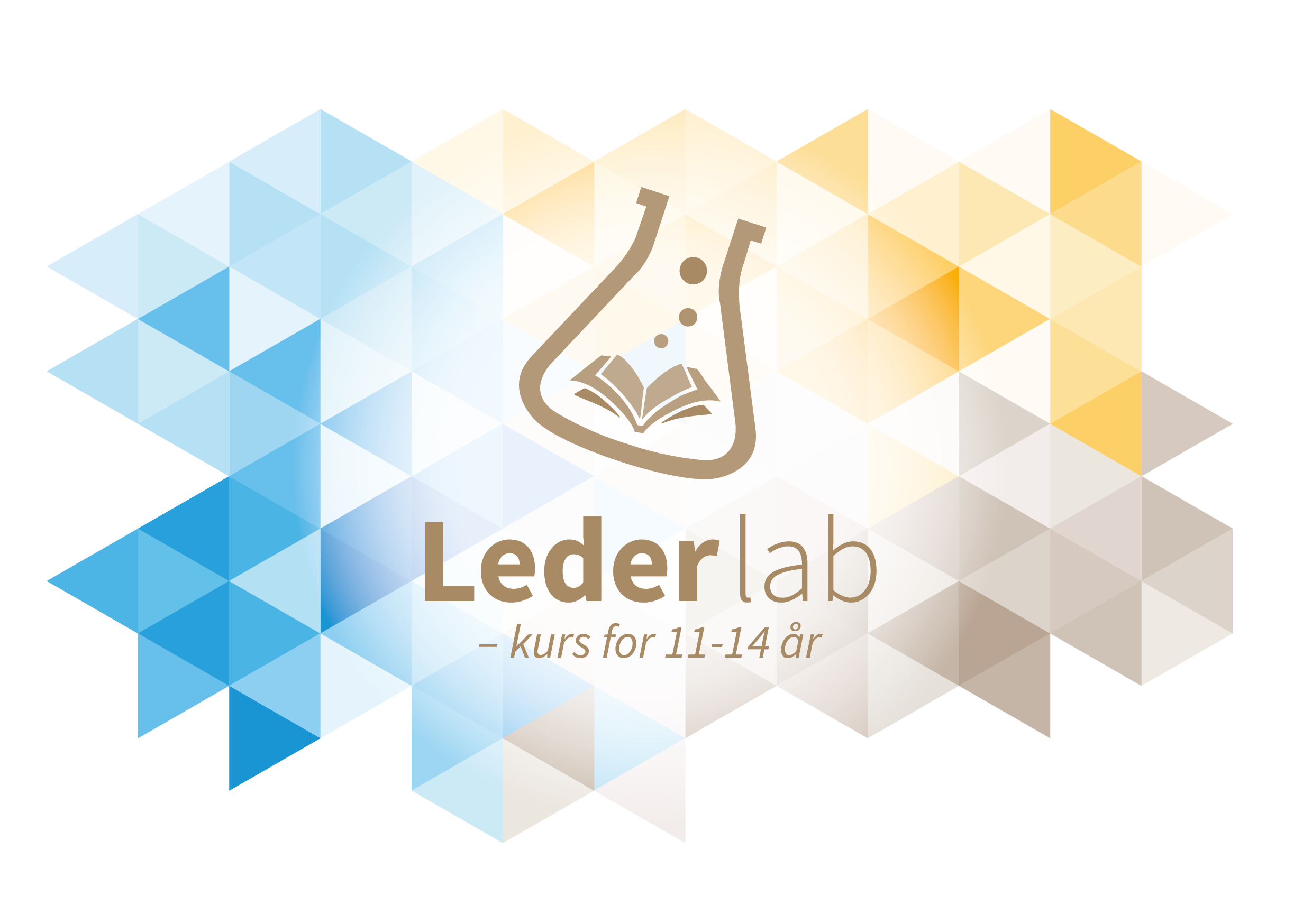 Lederkurs for unge hjelpeledere