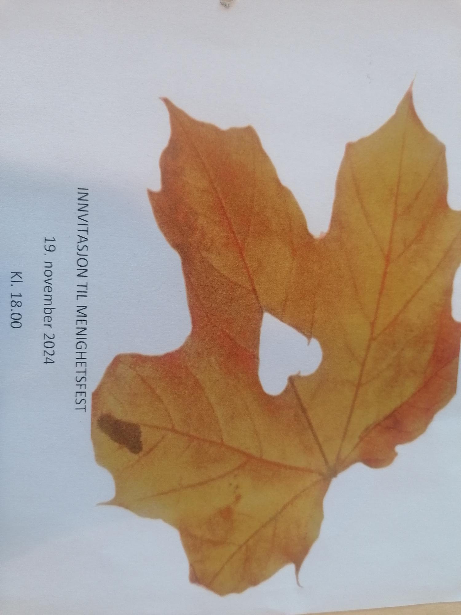 Menighetsfest i Søre Ål menighet tirsdag 19. november kl 18.00