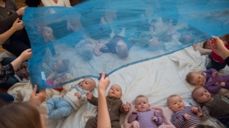 Babysang - babyene lytter til sang fra foreldrene. Foto: Torstein Ihle