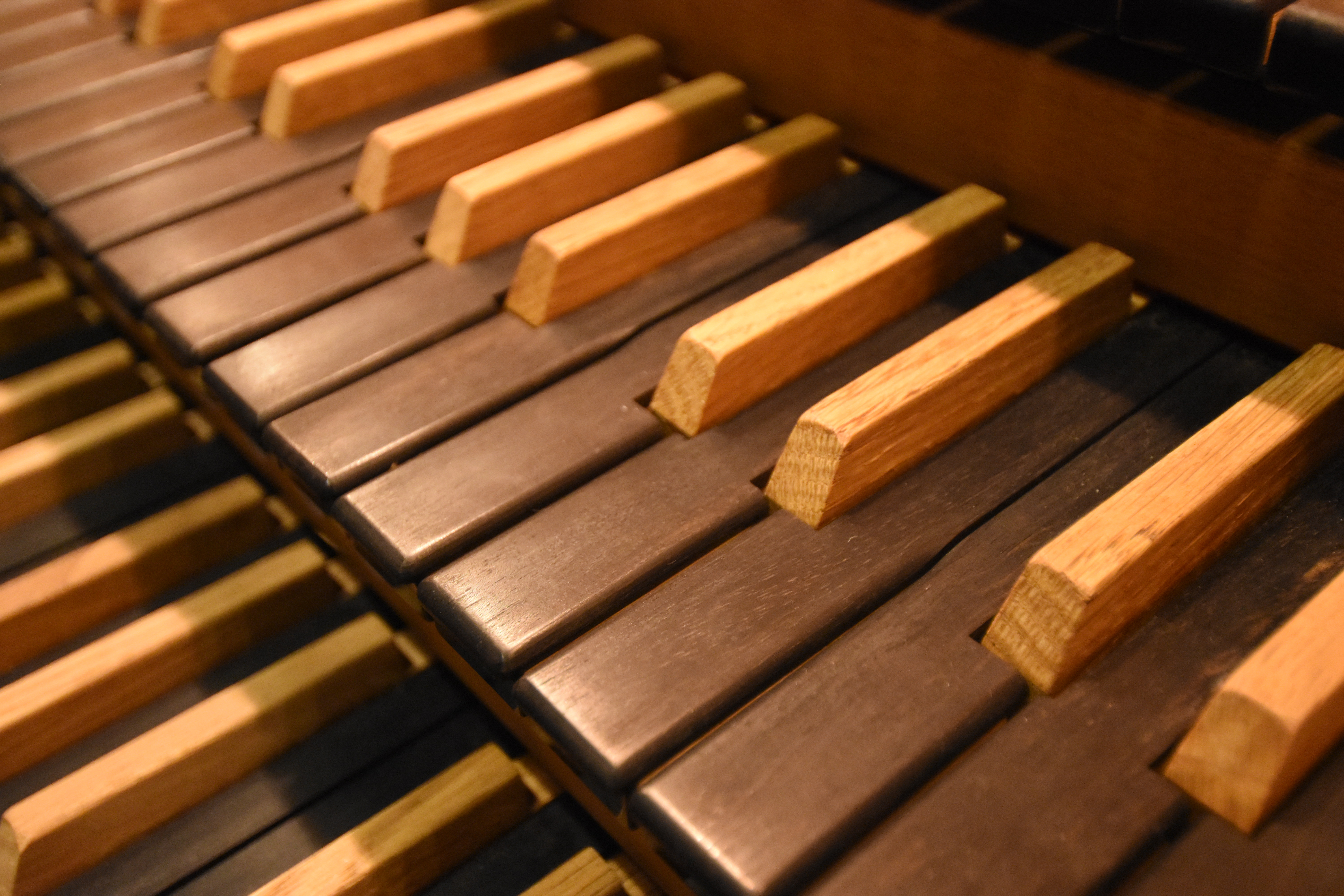 Sangkveld i Tistedal kirke