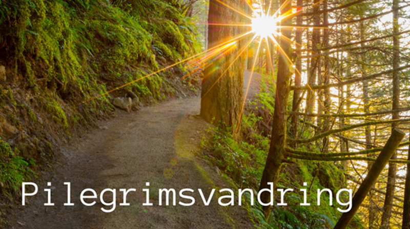 Pilegrimsvandring 2024 -lørdag 31. august
