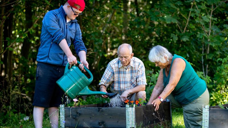 Frivilligfest 13. mai