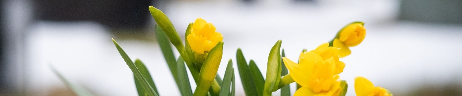 Toppbilde for Grorud menighet