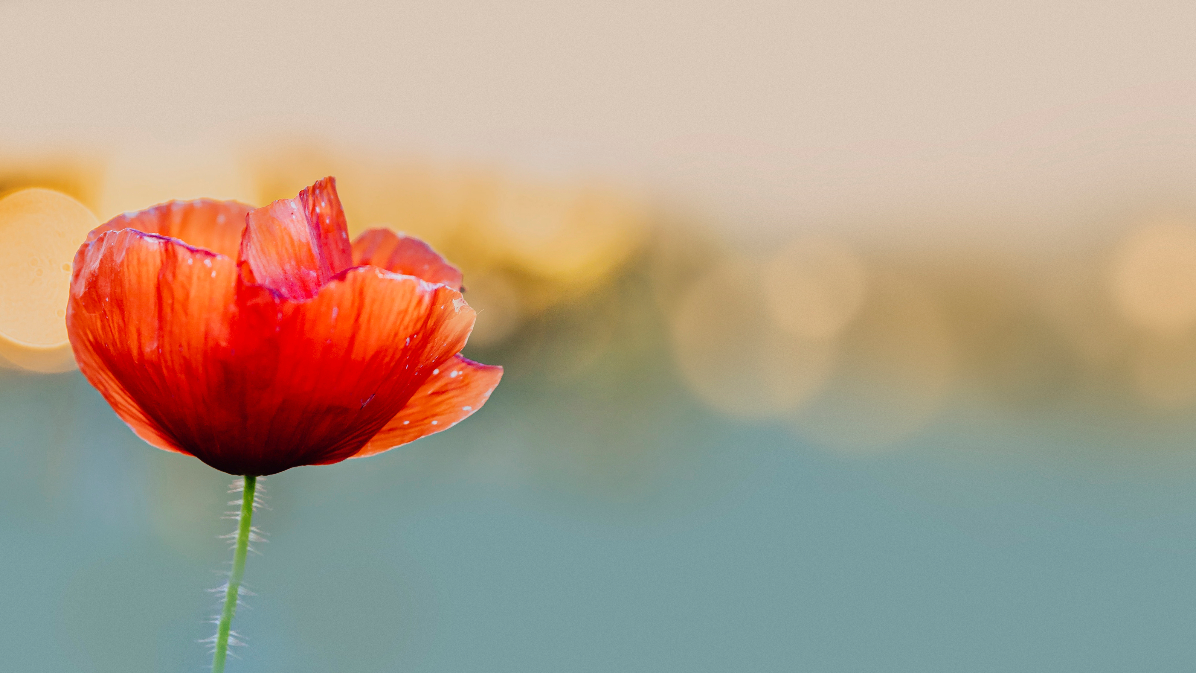 Freepik - rawpixel.com