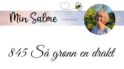 Min sommersalme