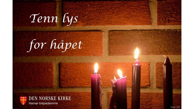 DEN ENE PEKTE MOT DEN ANDRE: SE HAM!