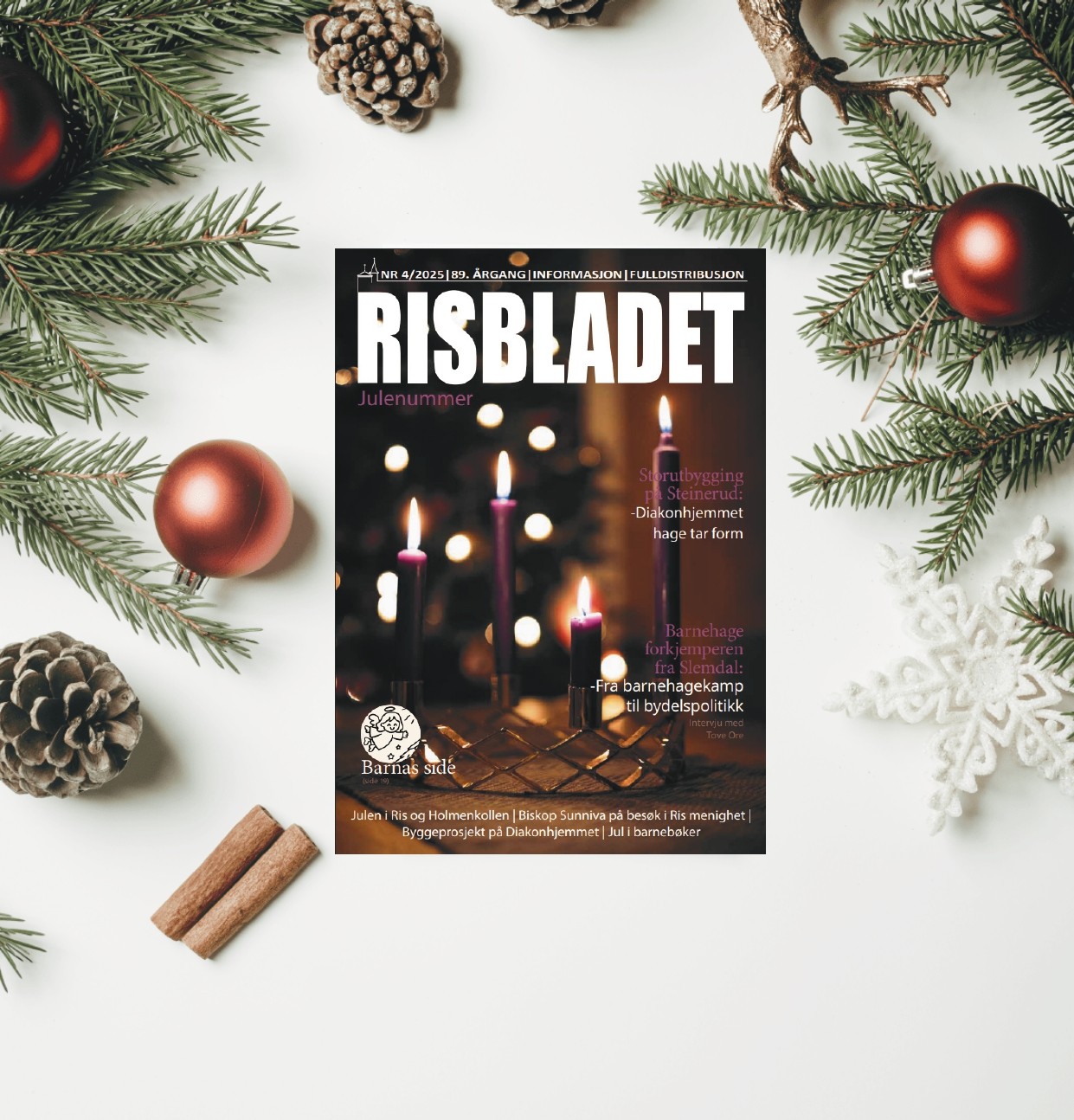 Forsidebildet: Den norsk kirke