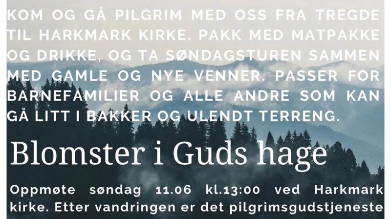 Søndagstur og pilgrimsvandring