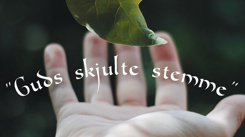 Vi inviterer til pilegrimsvandring