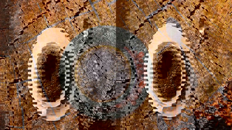 Samtale og besøkstjeneste