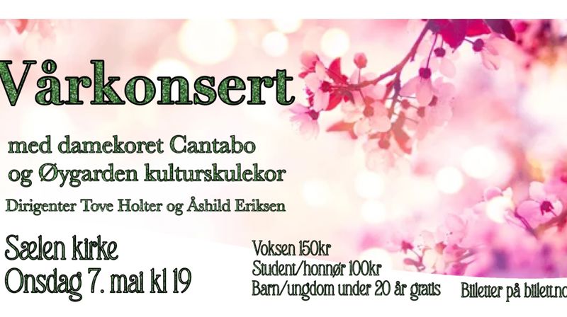 Vårkonsert i Sælen kirke