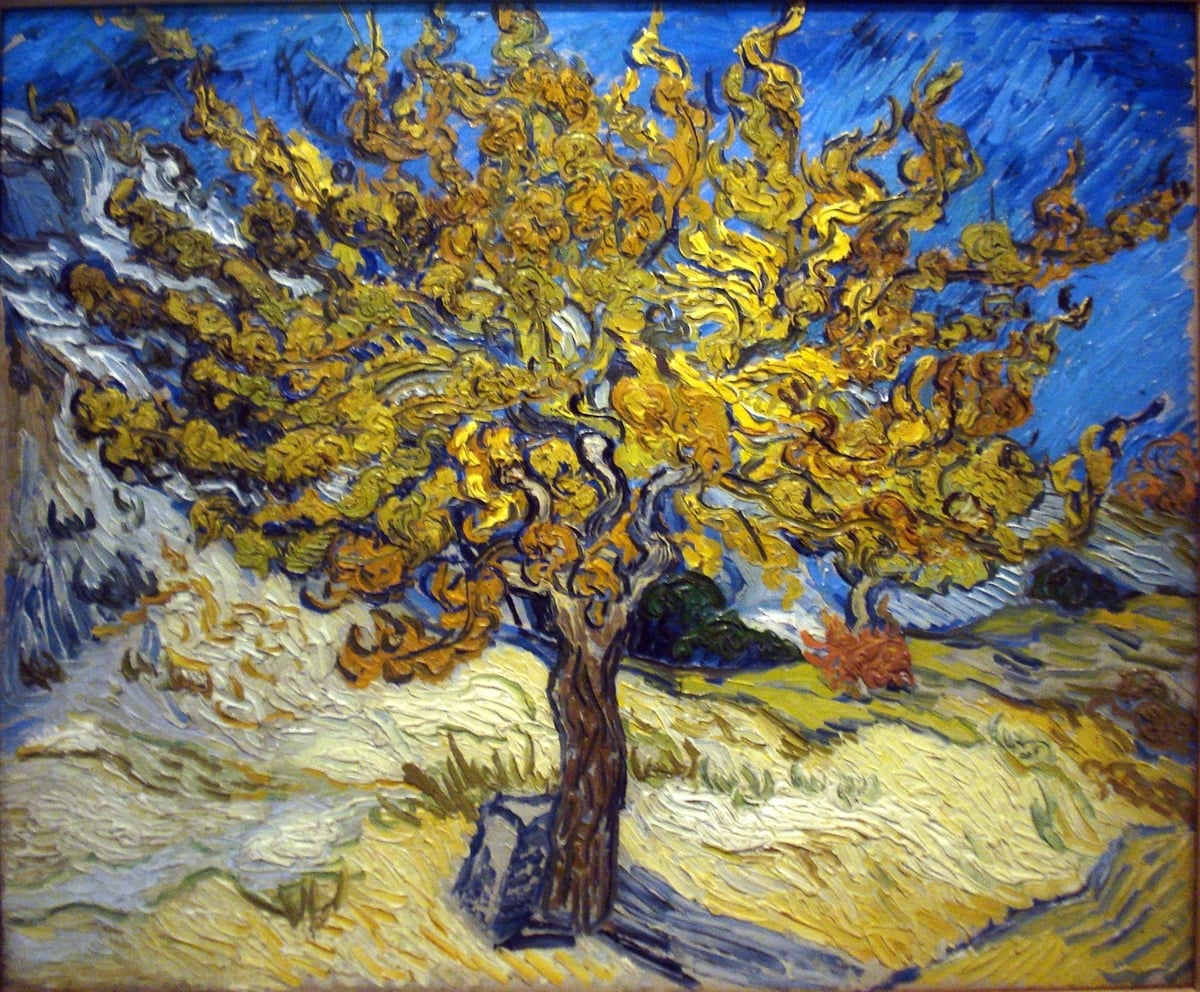 Morbærtreet, slik Vincent van Gogh så det for seg.