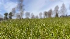 Nå skal humla og biene få kose seg i noen uker.