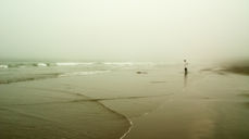 Illustrasjonsfoto: Fotograf Craig Clouiter/CC/Flickr