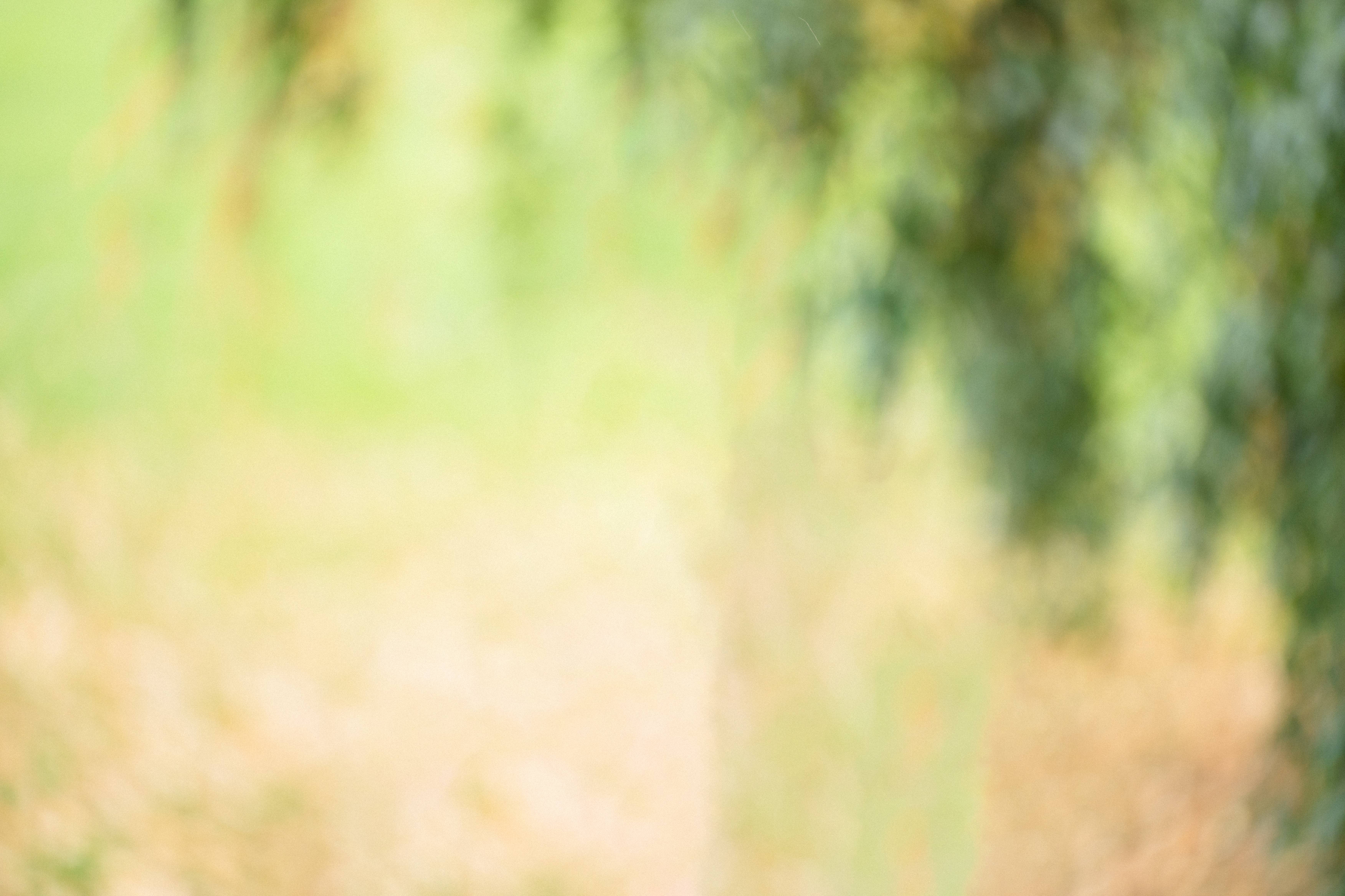 Malin Beatrix Reitan Olufsen