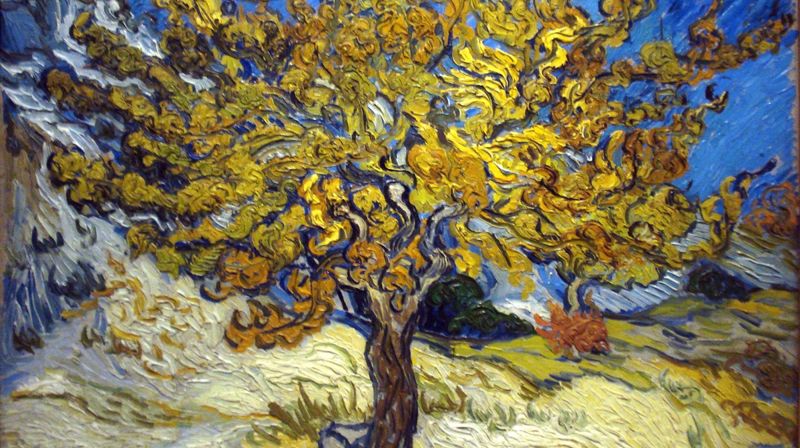 Morbærtreet, slik Vincent van Gogh så det for seg.
