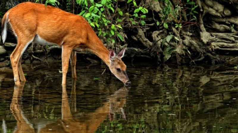 Menighetskvelder i Raufoss høsten 2023