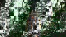 Foto: Jake Melara/Unsplash