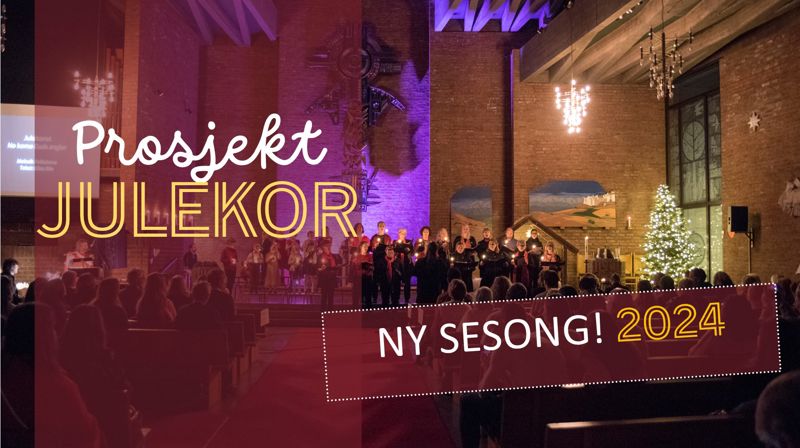 Prosjekt JULEKOR - ny sesong!