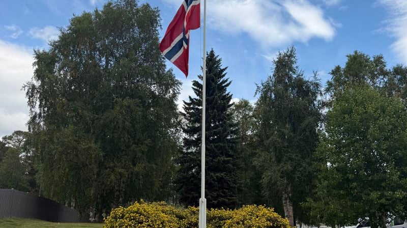TONAR TIL MINNE OM KONG HARALD V I VÅRE KYRKJER