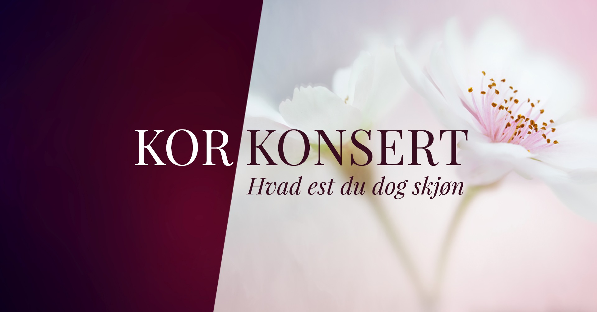 Sommerkonsert med Ensemble Dalí 