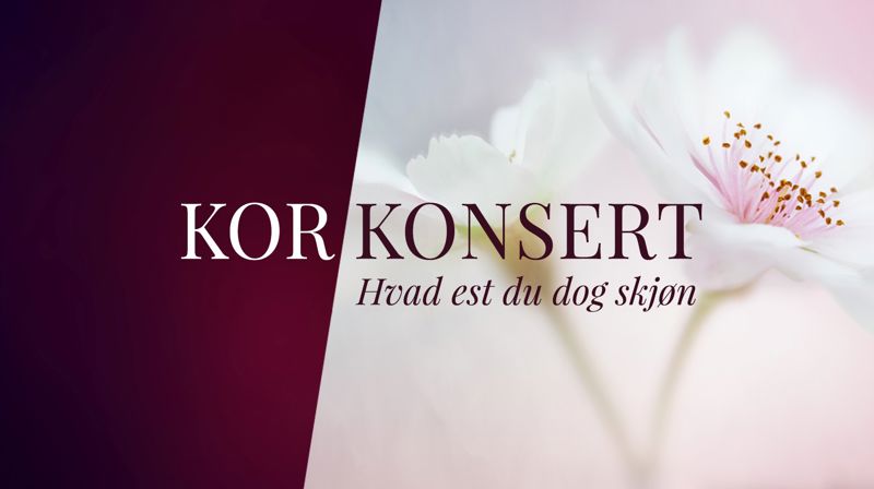 Sommerkonsert med Ensemble Dalí