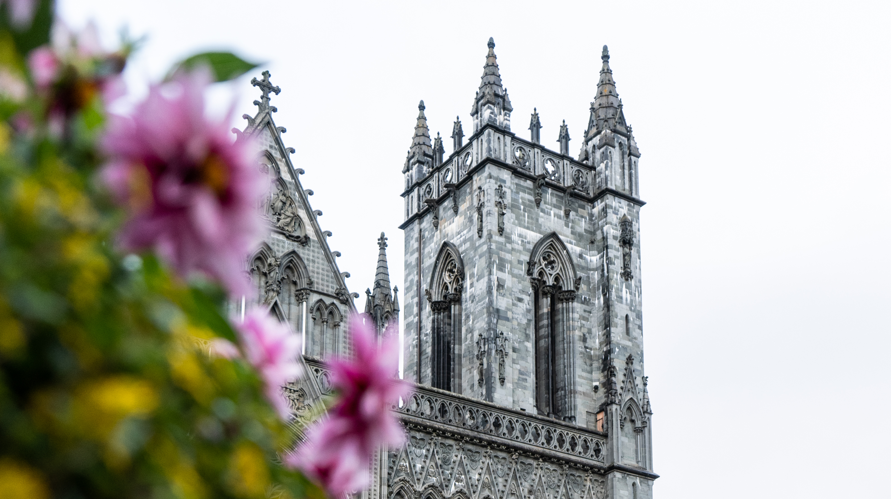 Foto: Joakim Birkeland