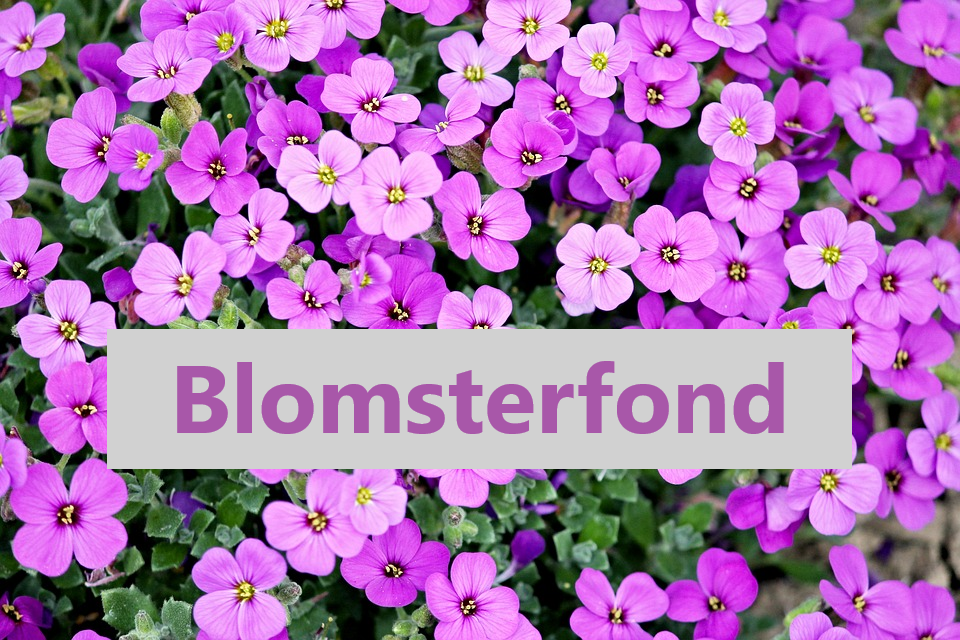 Blomsterfond
