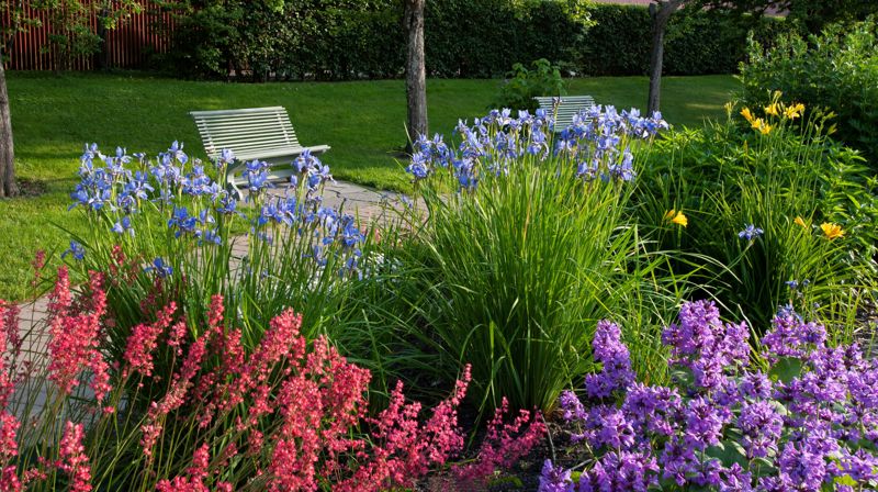 BERGEN BLOMSTERSJOV lørdag/søndag 30-31 august