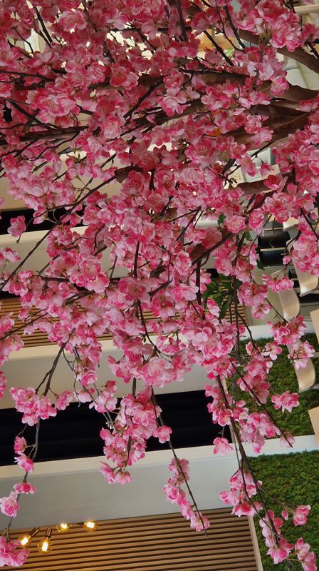 MenighetsMøte 8.mai kl.19