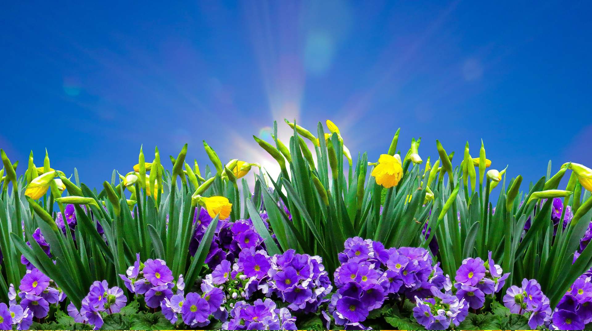 Bilde av G.C. fra Pixabay