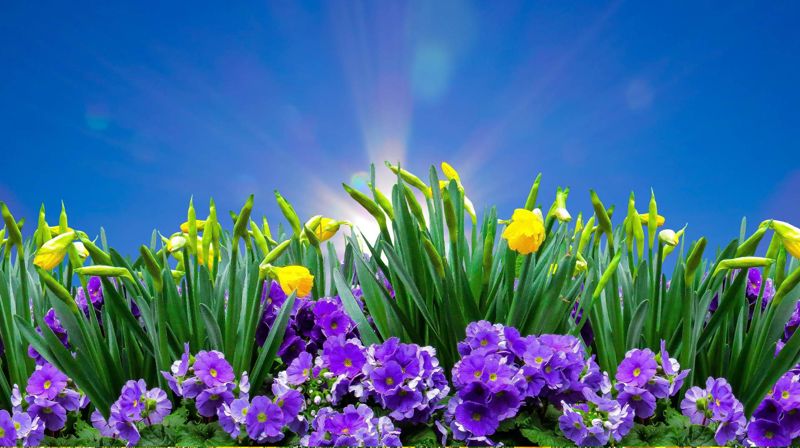 Bilde av G.C. fra Pixabay