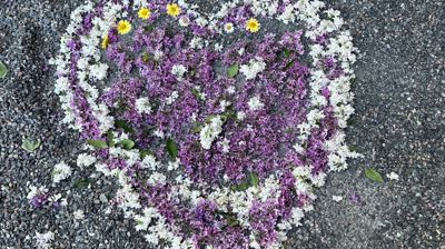 Blomsterpryd