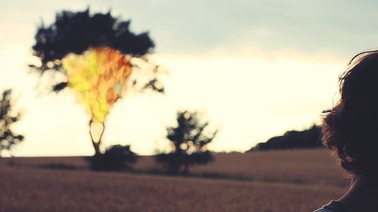 Gud åpenbarer seg både i ord og i naturen. Bilde: Andreas160578/Pixabay