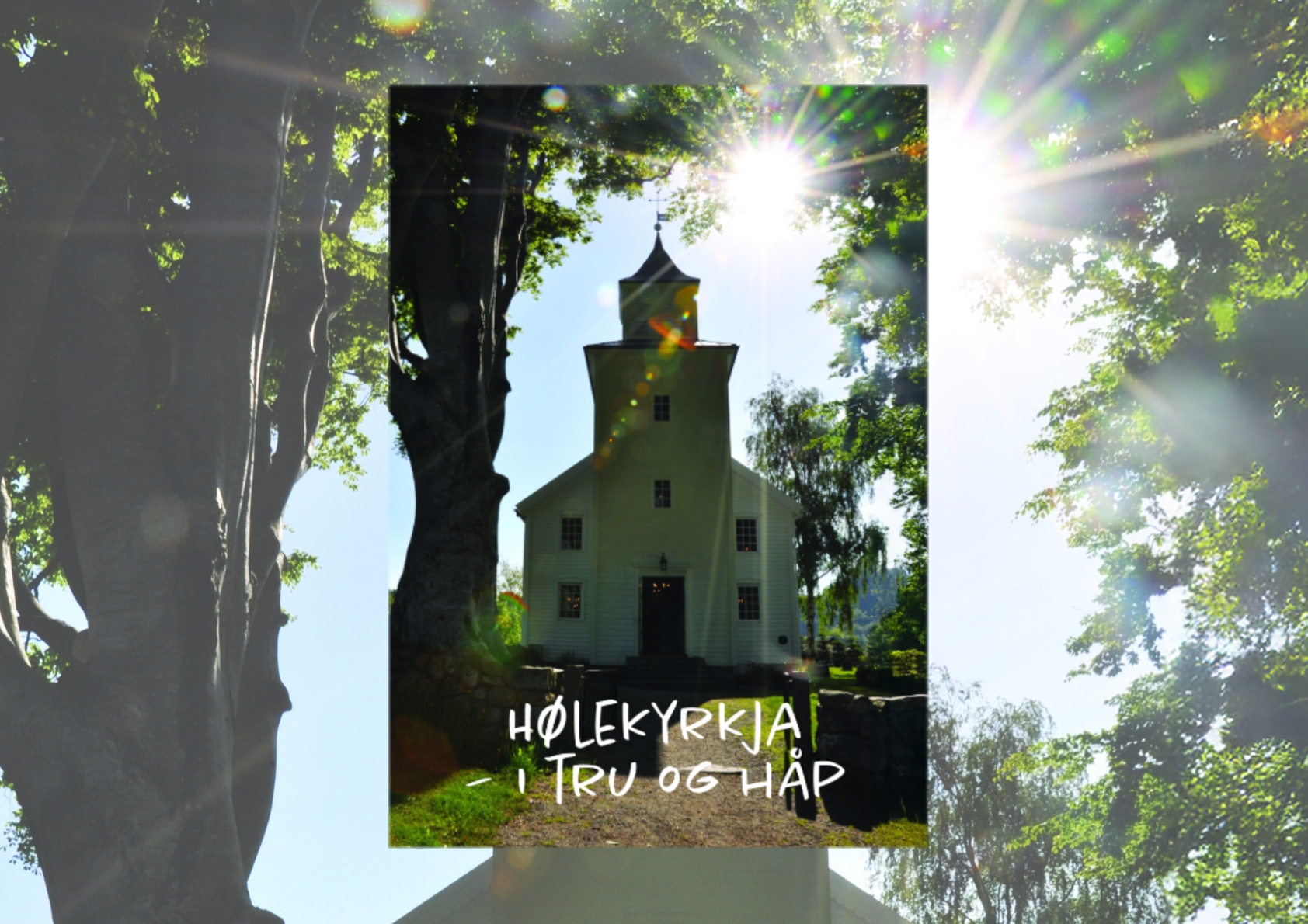 Hølemøte