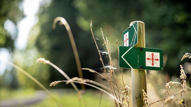 Pilegrimstur i nærheten